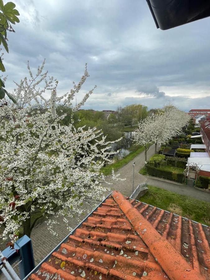 Grosszugige Wohnung In Findorff Bremen Exteriör bild